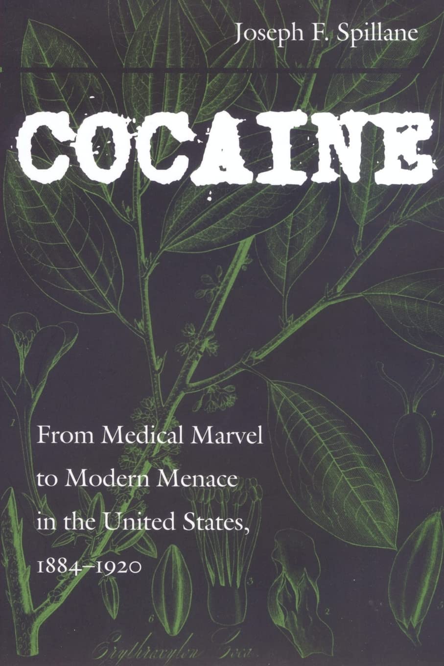 Cocaine: From Medical Marvel to Modern Menace in the United States, 1884-1920 (Studies in Industry and Society)