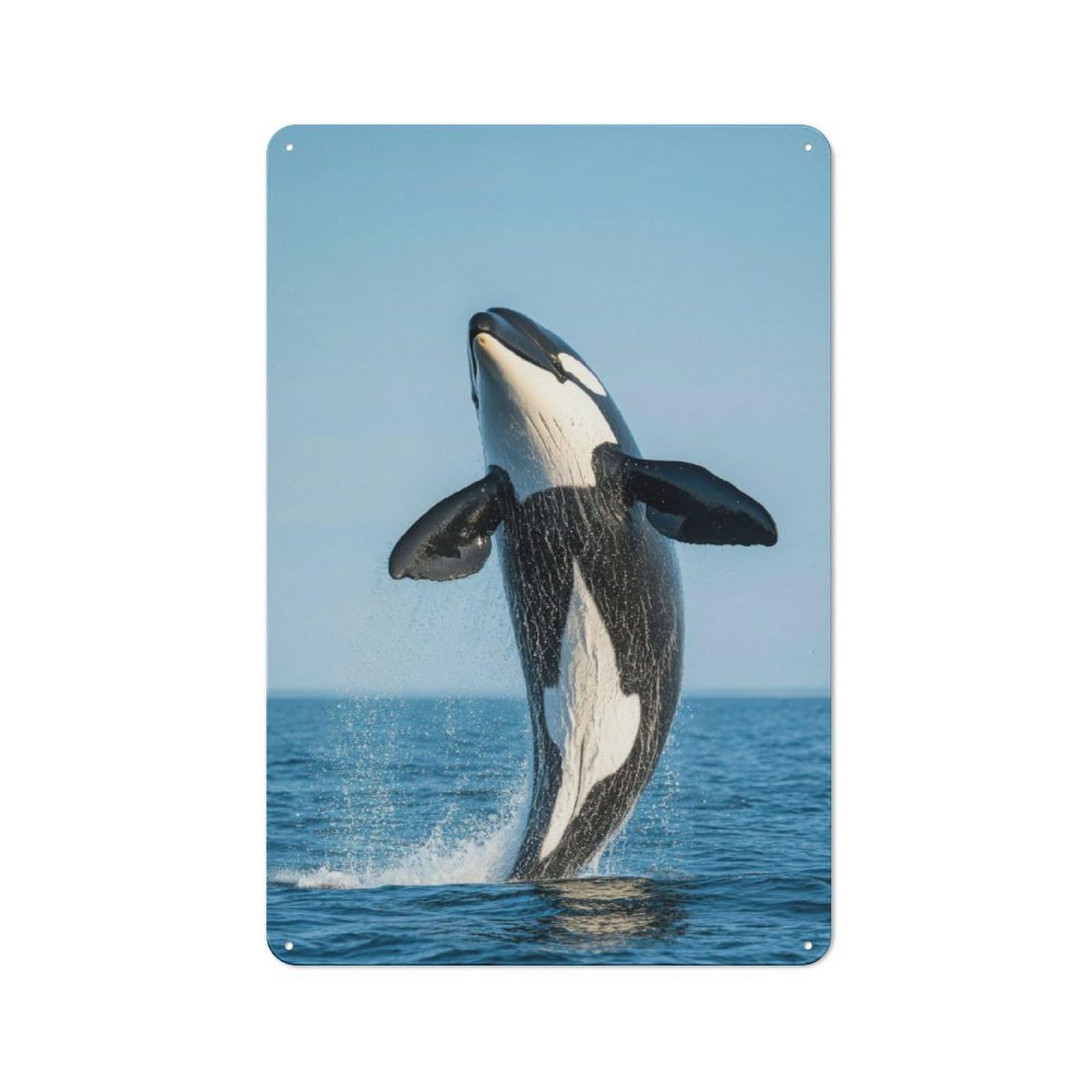 Junmoney Orca Whale Jump Out Water Retro Metal Wall Decor 30X20cm, Tin Wall Sign For Bakery, Diner, Cafe Or Family Room