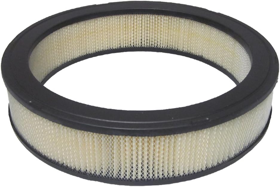 ECOGARD XA10027 Premium Engine Air Filter Fits Nissan D21 3.0L 1986-1989, Pathfinder 3.0L 1987-1989, 200SX 2.0L 1977-1979, 510 2.0L 1978-1979, 610 2.0L 1975-1976, 710 2.0L 1975-1977