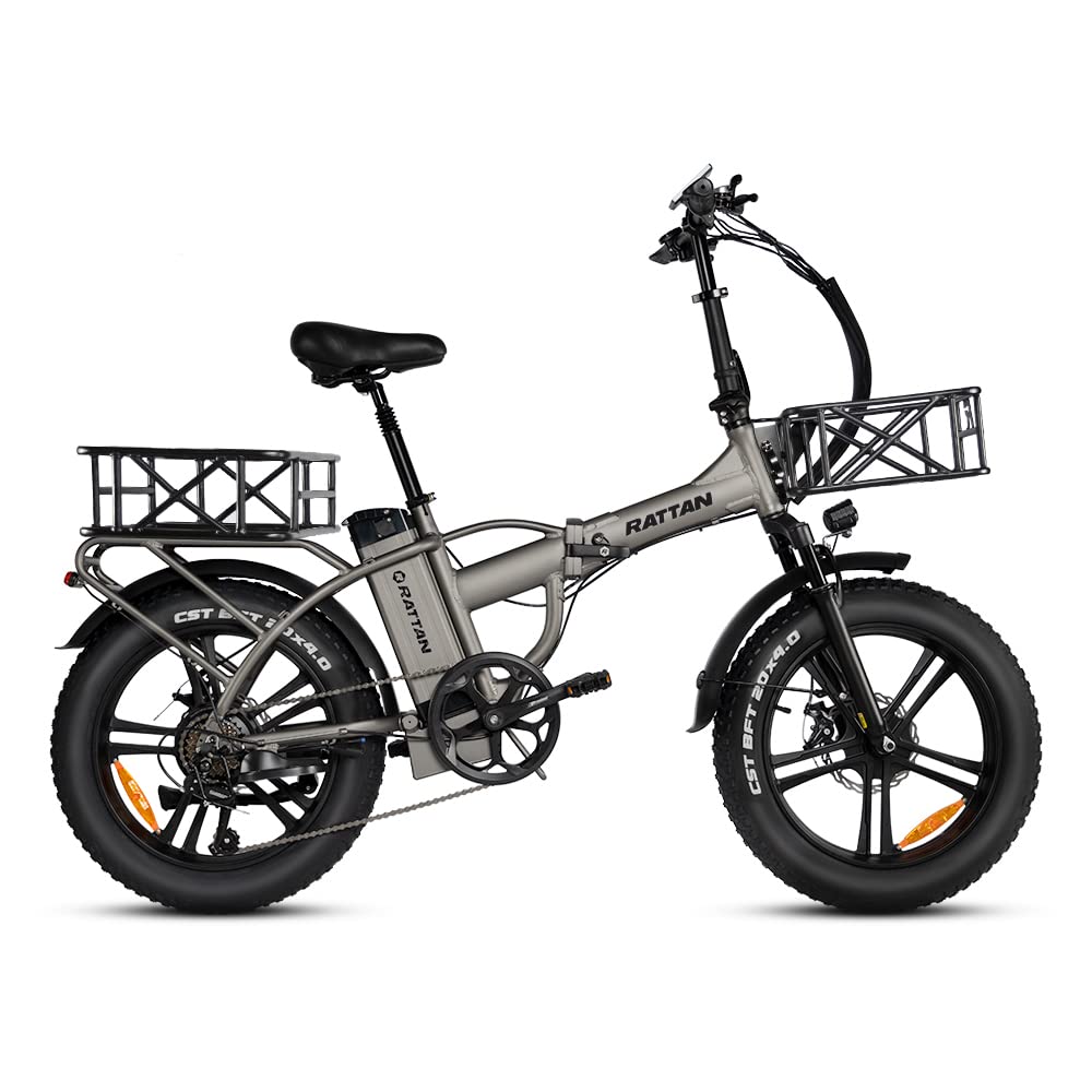 Buy Rattan 750W Electric Bike for Adults 48V 13AH Removable Battery Foldable Electric Bikes LM