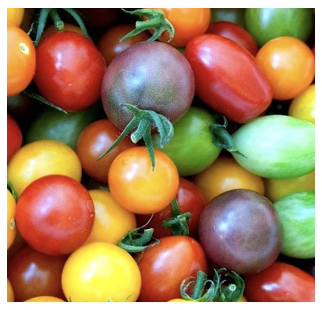 Marde Ross Rainbow Cherry Seeds