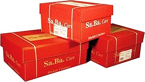 Carta A Modulo Continuo Sa.Ba.Cart 375x12 Mm - Confezione 2000 Fogli 60 G/mq - Foto 8