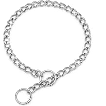 Stainless Steel Chain Dog Collar, Metal Slip P-Link Training Heavy Duty Dog Collar Puppy Collars for XS Small Medium Large Dogs, Silver XS