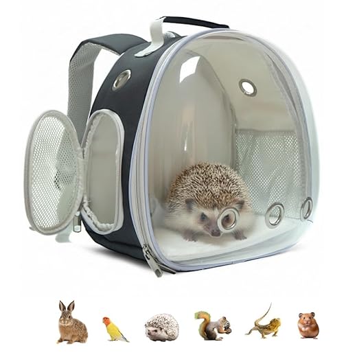 Small Animal Carrier Guinea Pig Backpack,Transparent, Breathable Backpack Carrier for Hedgehogs, Rabbits, Birds, Squirrels, Hamsters, Lizards Comfortable, Portable Travel Bag for Small Pets (Black)