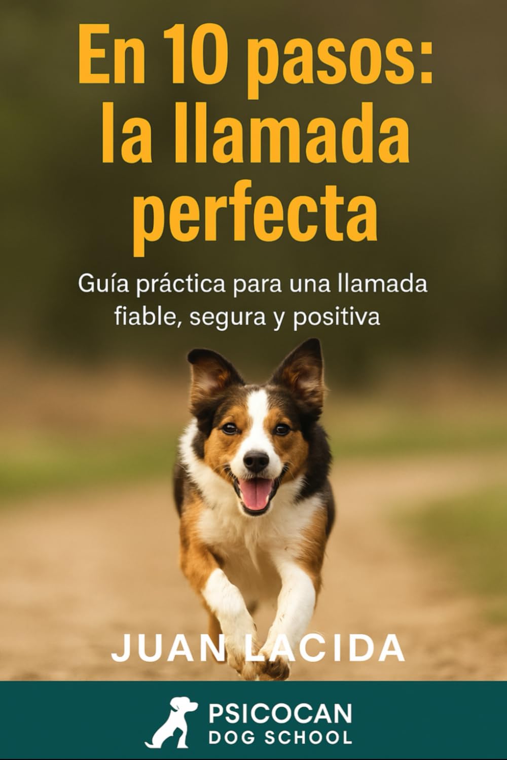 En 10 pasos: la llamada perfecta: Cómo conseguir que tu perro acuda siempre cuando lo llamas. (Colección “En 10 Pasos”)