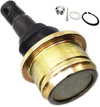 U qanday qilib siyayotgani fotosurat Soqollangan anuslar