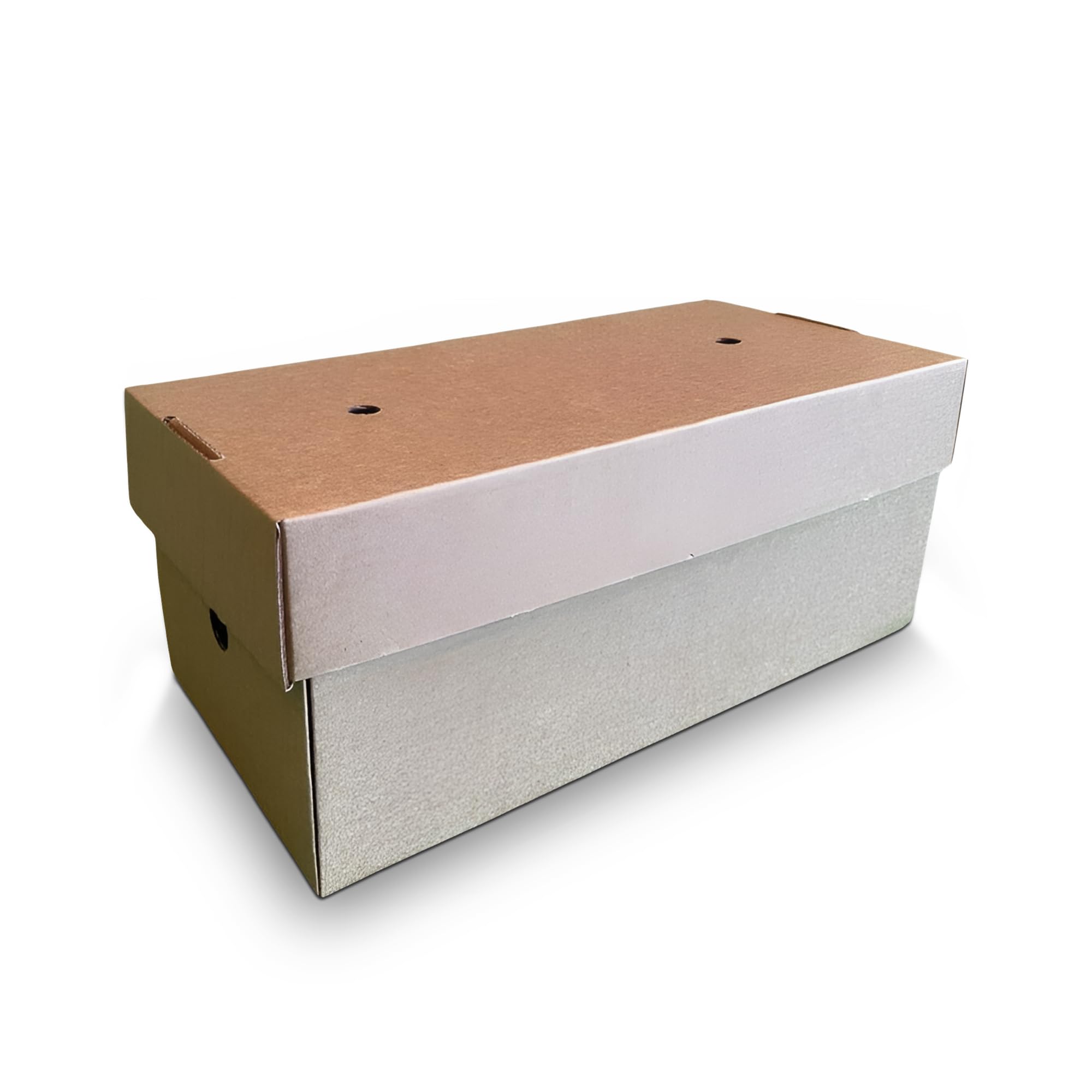 We Can Source It Ltd - Large Expandable Burger Lunch Box 240x122mm - Fully Compostable and Recylcable - 10 Boxes