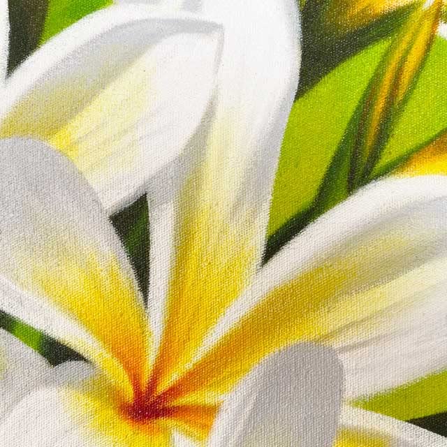 Amazon.co.jp: バリ 絵画 花の絵 インテリア 花 白 風水 リビング 北欧