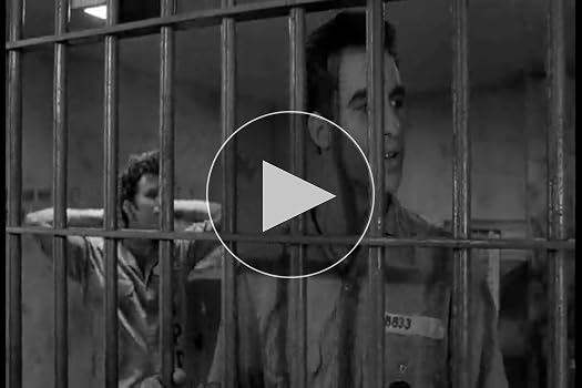 Amazon.com: Down by Law (The Criterion Collection) [Blu-ray