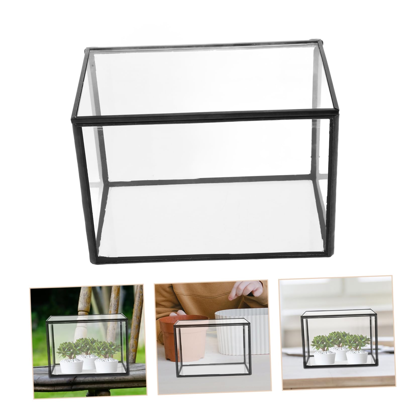 BESPORTBLE Terrario de Vidrio Contenedor Transparente para Plantas Suculentas, Maceta Resistente y Decorativa Adecuado para Decorar Habitaciones y Regalar