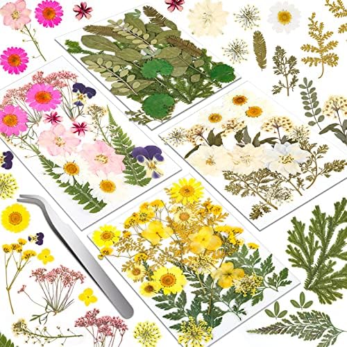 Dried Flowers for Resin, Real Nature Dried Pressed Flower Leaves Bulk with Tweezers for DIY Nail Art Cards Scrapbooking Crafts Jewelry Making Epoxy Resin Molds Candle Accessories Floral Decors
