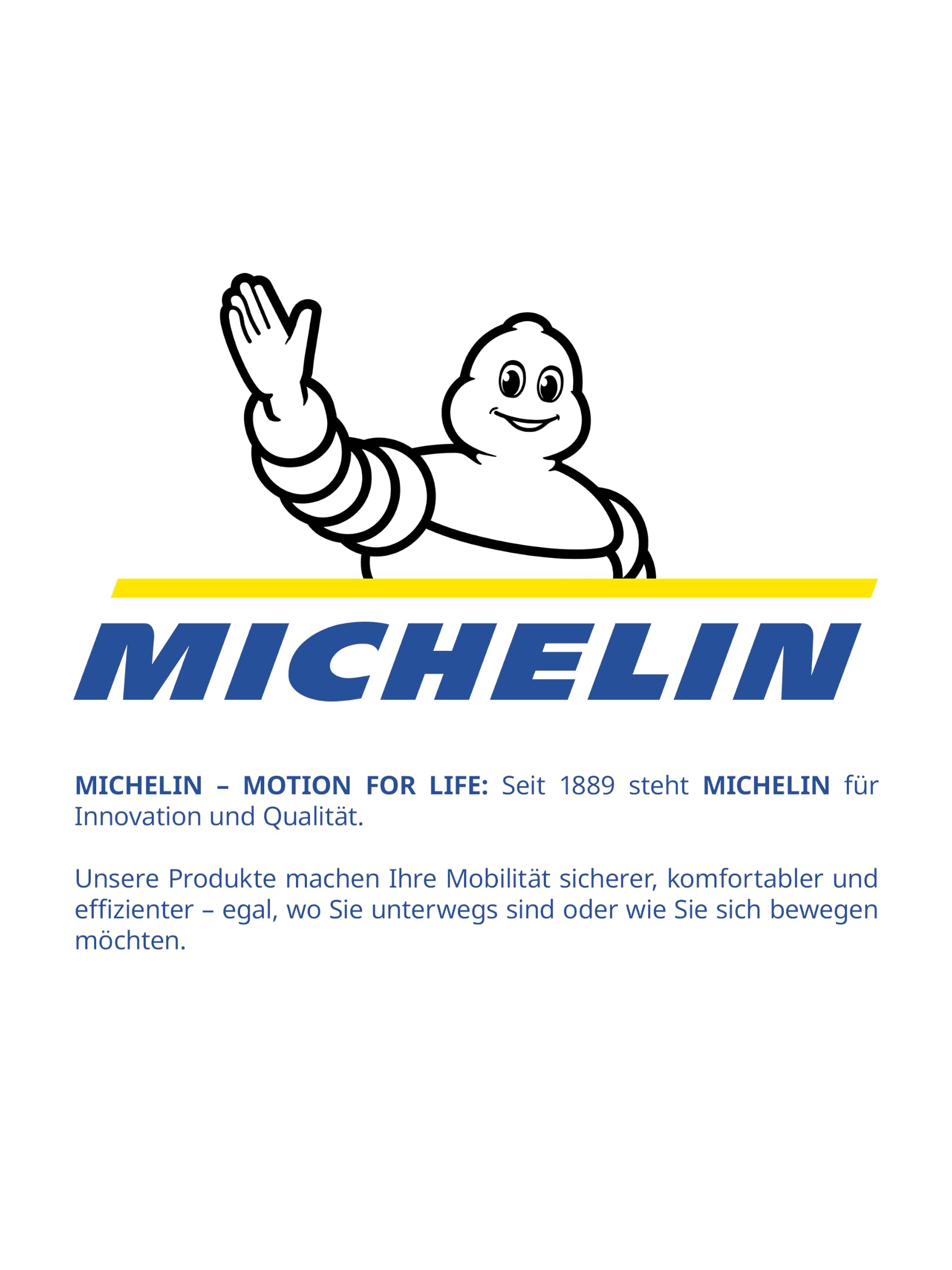 MICHELIN Verificatore di Pressione e Usura pneumaticiI + Funzione di misurazione in Bar