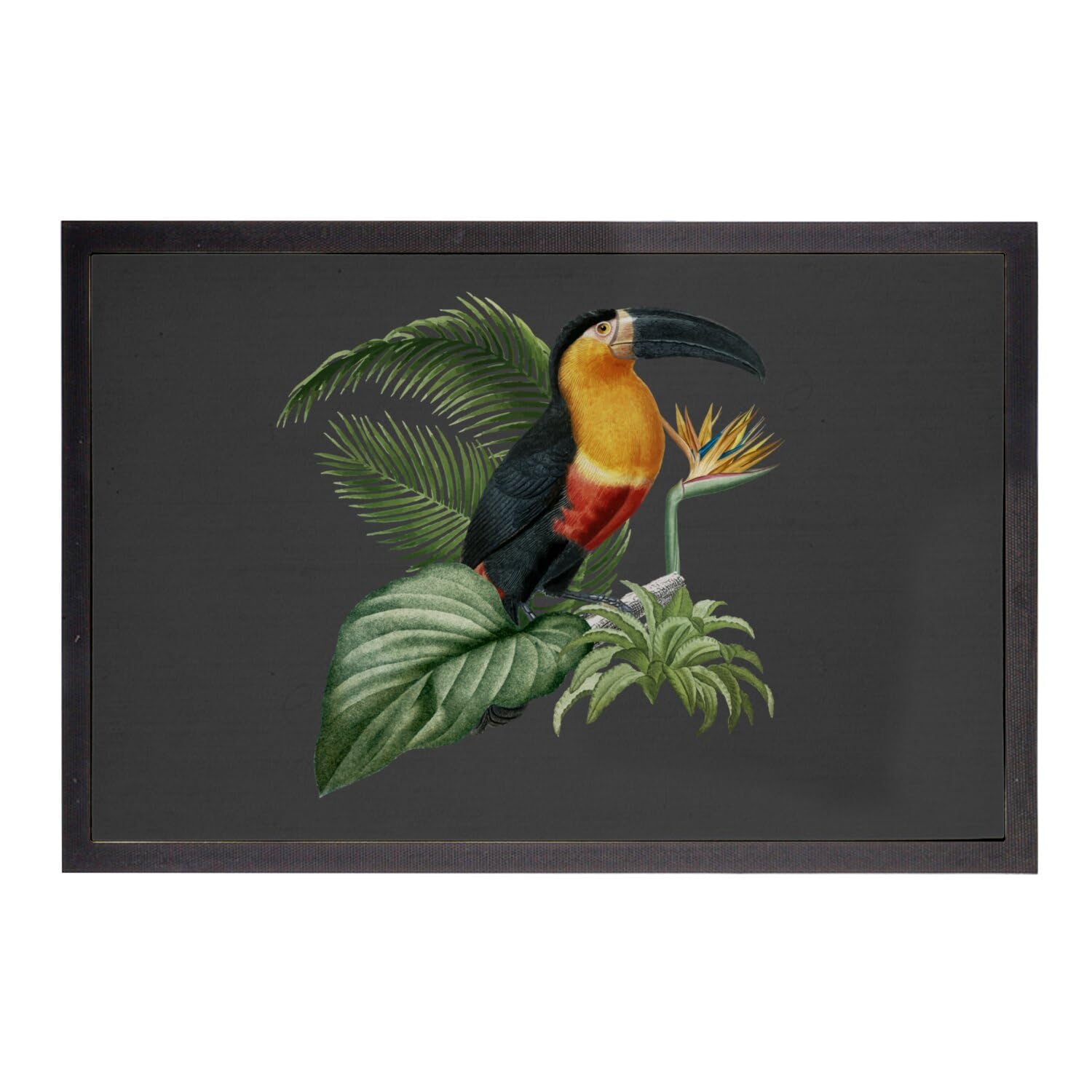Paillasson noir perroquet ara toucan 60x40 cm jungle