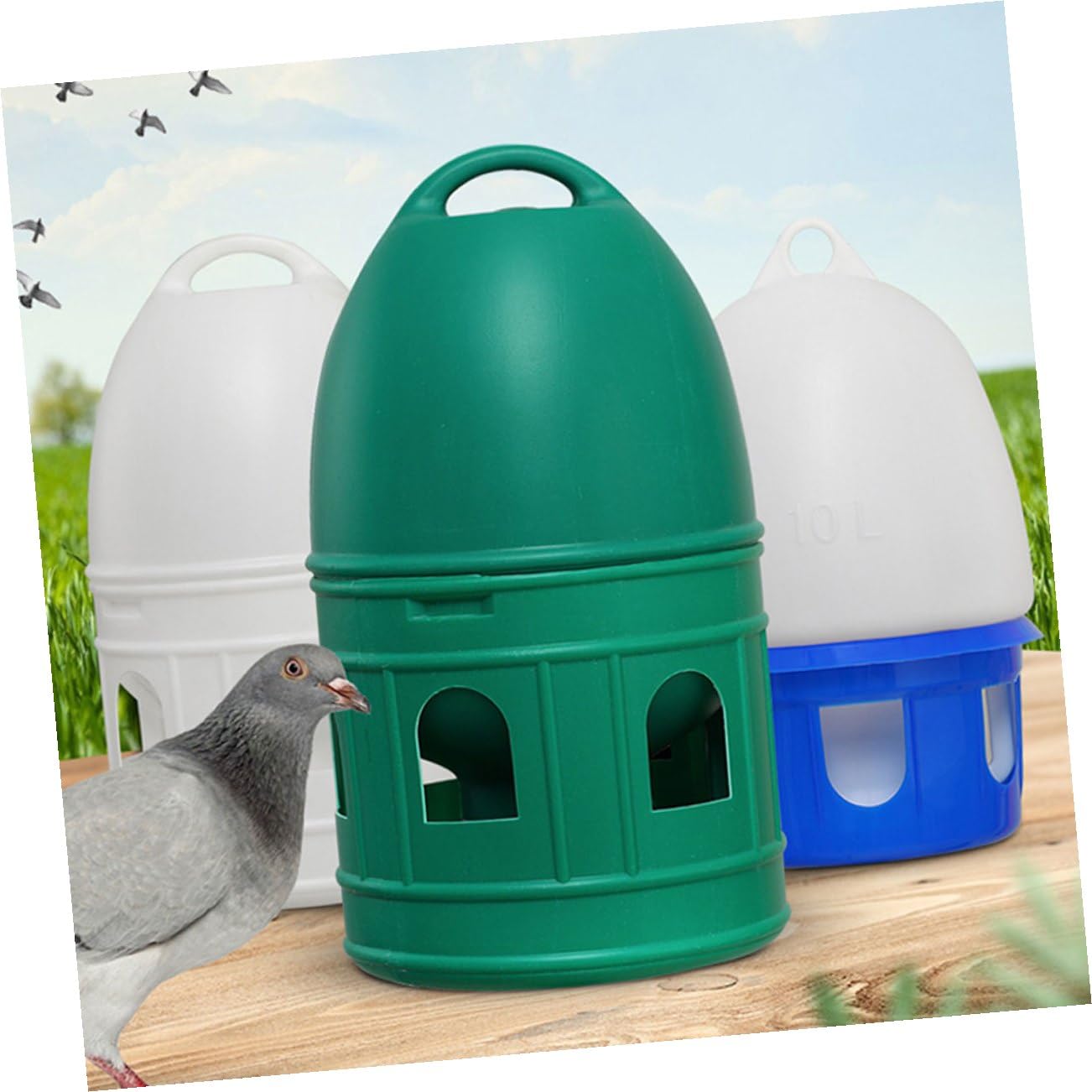 Abreuvoir à Oiseaux 10 L en Plastique Vert, Rond et Détachable