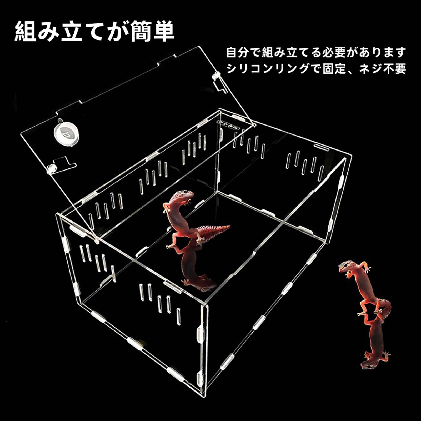 Amazon | トカゲ ケージ 爬虫類 ケージ 爬虫類 爬虫類飼育箱
