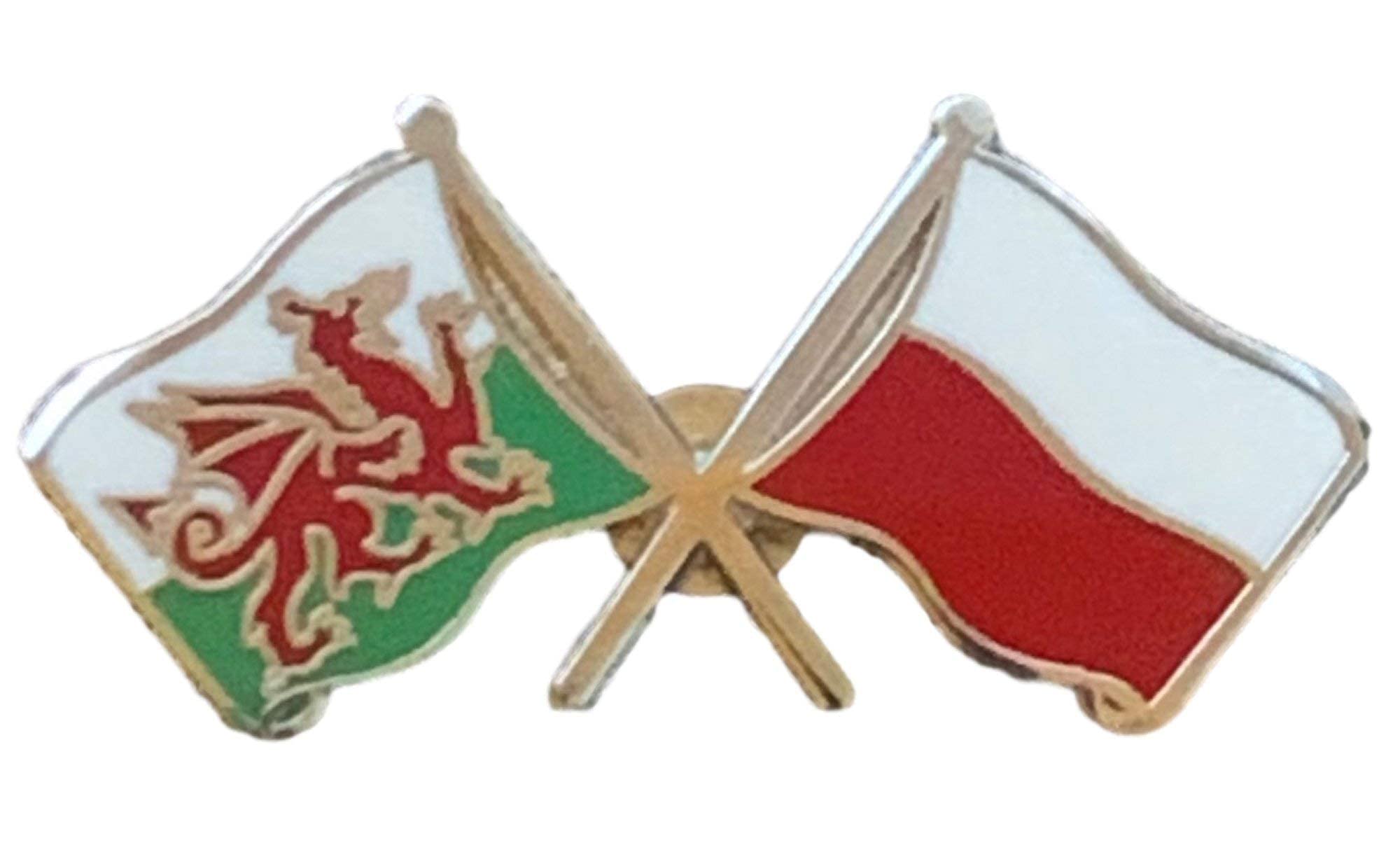 Wales & Poland Flags Friendship Courtesy Enamel Lapel Pin Badge T793