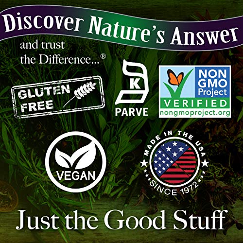 Nature's Answer Sambucus Elderberry Syrup For Kids 8 Fluid Ounces |Immune Support Booster | Kosher Certified | Gluten-Free | No Artificial Flavors Or Preservatives | Single Count #TOP2