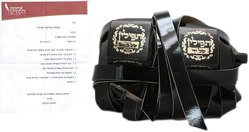 Tefillin judío Kosher Tefilin Dakkot Tfillin Filacteries Ashkenaz Top Judaica
