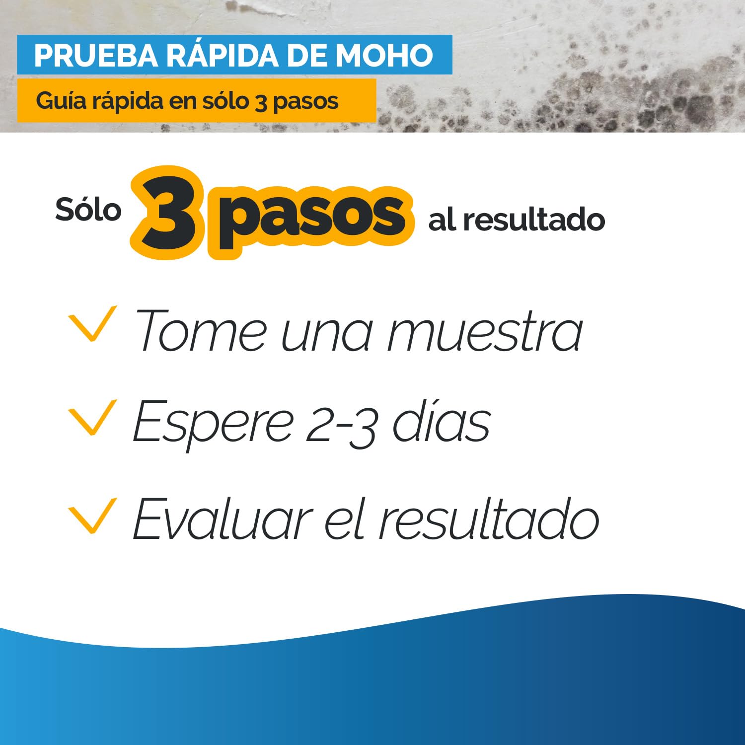 Test de moho para el hogar – Test rápido para 6 habitaciones – Evaluar calidad del aire y moho en interiores y hogar