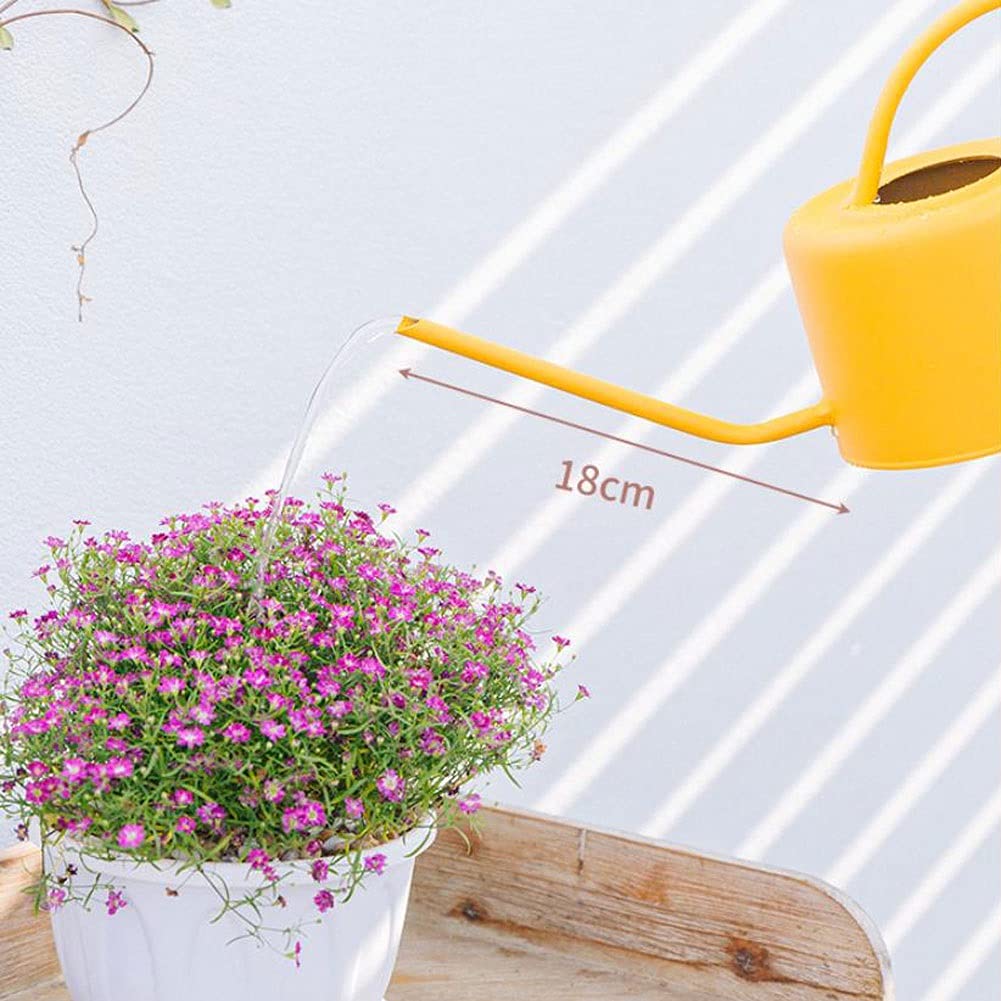 Arrosoir d'extérieur, arrosoir de Jardin, arrosoir d'intérieur