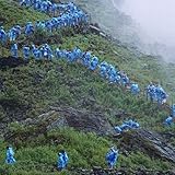 End of the Day (music from the film Anonymous Club) (MILKY CLEAR VINYL)