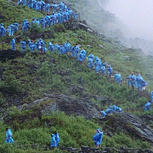 Album Art for End of the Day (music from the film Anonymous Club) (MILKY CLEAR VINYL) by Courtney Barnett