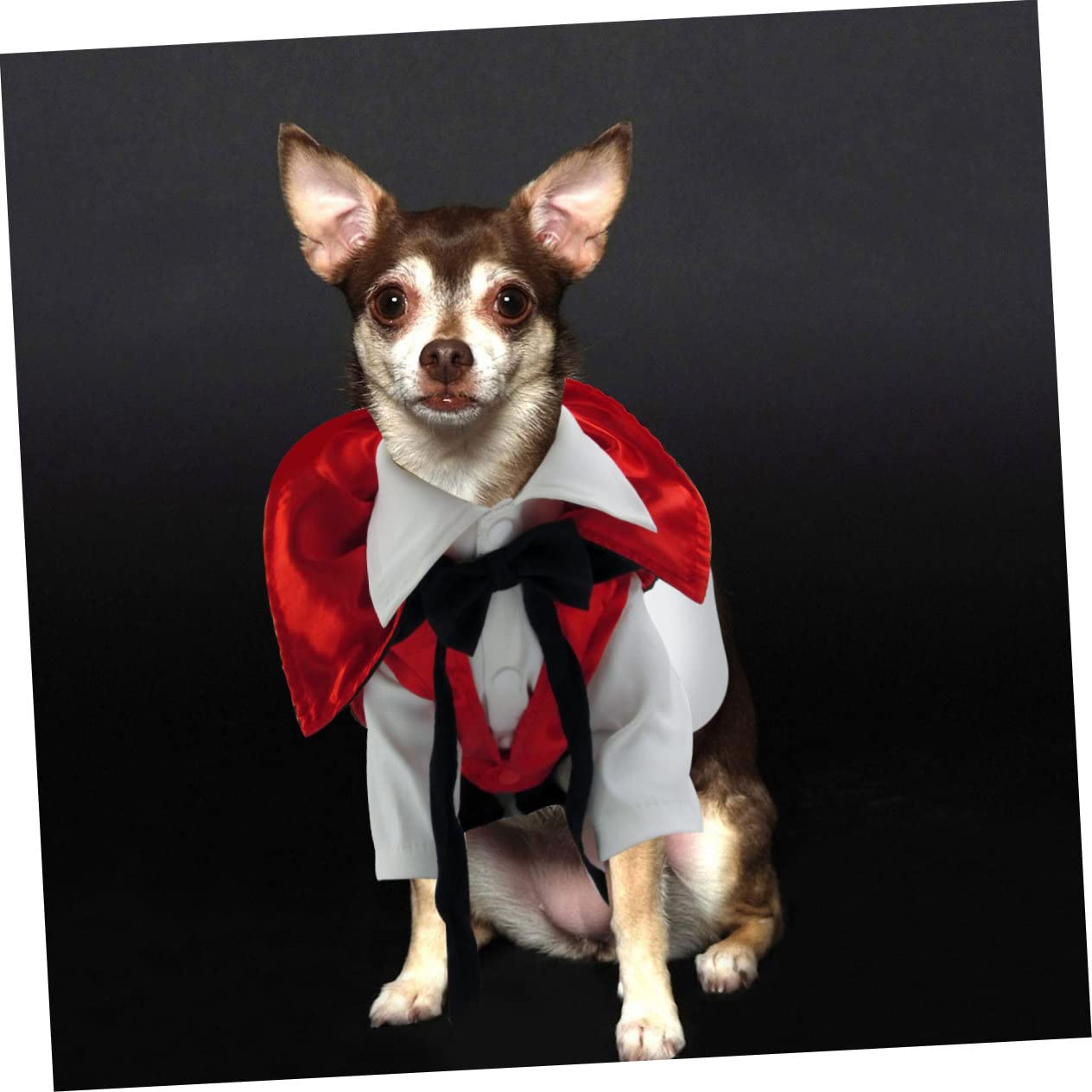 Ropa De Halloween para Perros Disfraz De Chupasangre Suministros para Mascotas Diseño