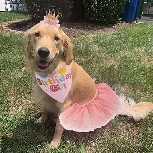 Adoggygo Dog Birthday Hat Bandana Girl - Dog Puppy Birthday Party Supplies - Pink Dog Tutu Birthday Dog Hat Scarf Bow Happy Birthday Banner Set (Pink-2) #TOP5