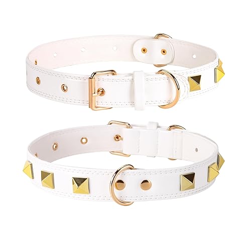 SHWLNY SkinSafe PU Leather Dog Collar, Spike Dog Collar with Decorative Rivets, Adjustable with Golden Metal Buckle for Small Medium Large Dogs (White, L:1.2" Wide for 15.4"-22.4" Neck) - White - L:1.2" Wide for 15.4"-22.4" Neck