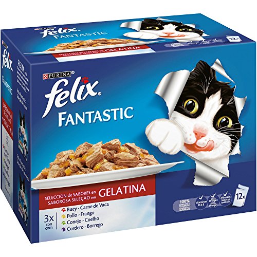 Purina Felix Fantastic Festín Gelatina comdia para gatos Selección Surtido de Carnes 6 x [12 x 100 g]