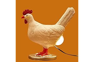 Chicken Egg Lamp - A Quirky Lighting Companion