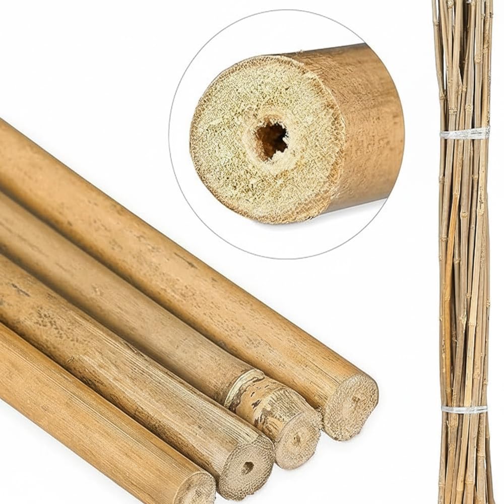Suinga 500 Stück, Bambusstützen für Pflanzen 90 cm (6-8 mm) – Bambusstäbe, Stützen für Pflanzen, Gemüse, Tomaten, Bambusstäbe