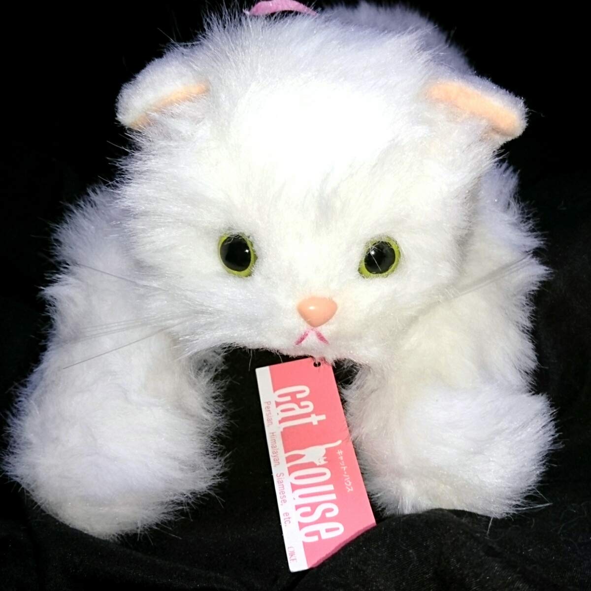 Amazon.co.jp: 70cm 猫 ねこ ネコ オオイケ ペルシャ猫 ボビー M OIKE  