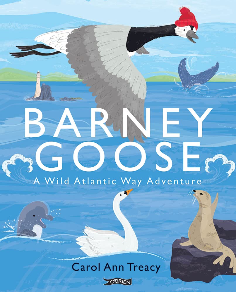 Barney Goose A Wild Atlantic Way Adventure by Carol Ann Treacy (Hardback Book)