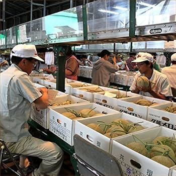 Amazon.co.jp: 北海道産 ご家庭用 夕張メロン 8kg (共撰/良品/4