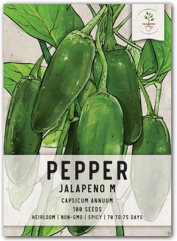 Seed Needs Hot Pepper Seeds for Planting Jalapeno M Peppers - Non-GMO Heirloom & Untreated Vegetable Seed to Plant an Outdoor Home Grown Veggie Garden (1 Pack)