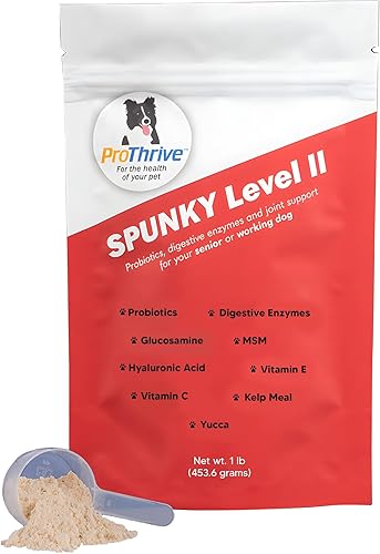 Spunky - Suplemento de cadera y articulaciones de nivel II para perros, glucosamina para perros con MSM, vitaminas y suplementos para perros que