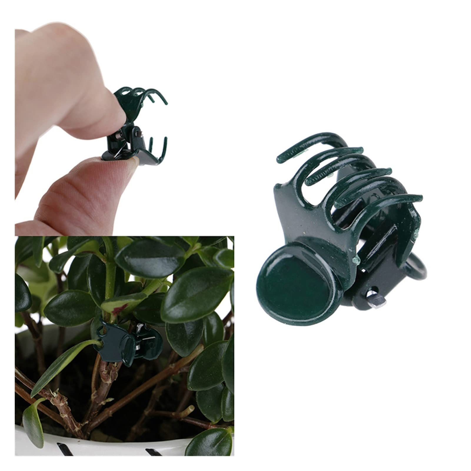 Attaches pour Plantes grimpantes, Clips de Fixation Vigne, 100 pièces, Support Plante Verte, Fleur Jardin, Tige d'orchidée(Beige)