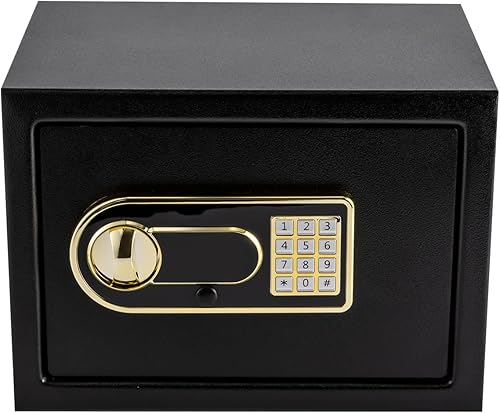 Caja de seguridad digital con 2 llaves, caja de seguridad montada en la pared o en el suelo, caja fuerte de metal segura para el hogar, oficina,