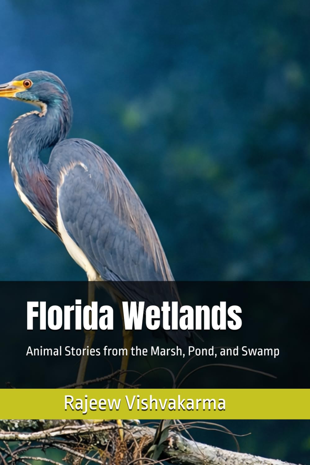 Florida Wetlands: Animal Stories from the Marsh, Pond, and Swamp