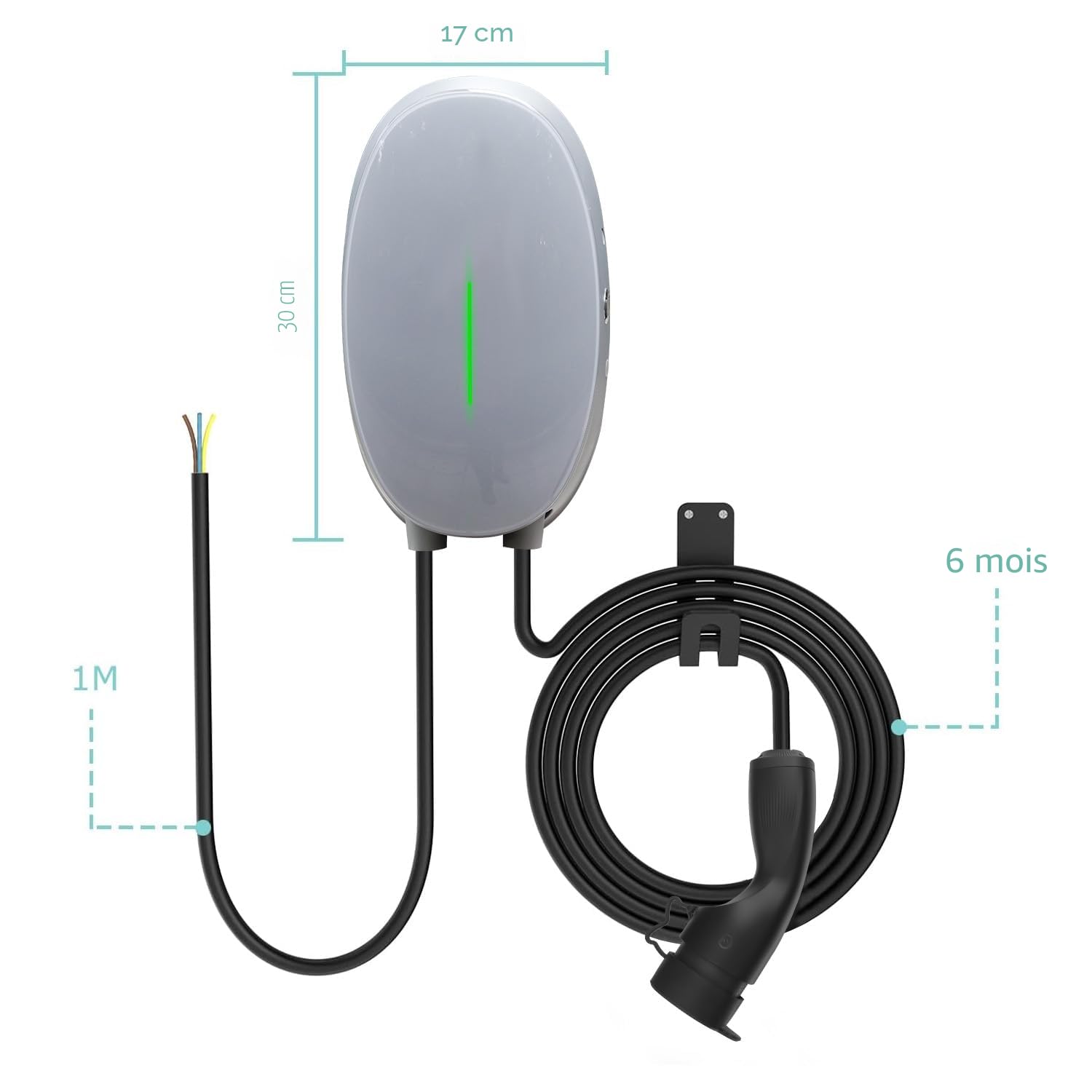 Wallbox 7kW Type 2 Station de Recharge Voiture électrique, Monophasé 32A Chargeur Rapide véhicules électriques avec câble 6M, Norme Européenne IEC62196-2, IP66