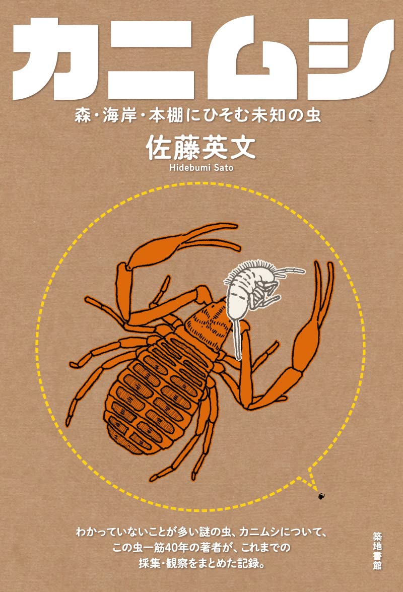 ★新品未使用品‼️オータニ昆虫館SEMI ・セミ★入手難※希少★ カニムシー森・海岸・本棚にひそむ未知の虫 | 佐藤 英文 |本 | 通販