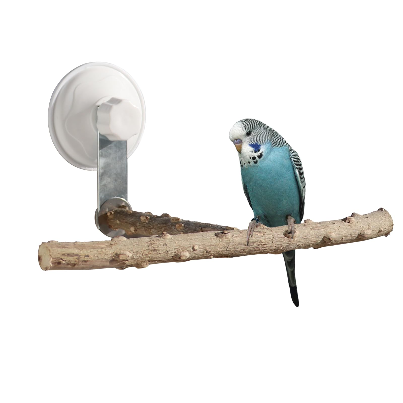 Bird Window Perch Stand with Suction Cup, Outdoor Travel Window Mirror Bird Stand Toy, Suitbale for Small and Medium Bird Parrot Parakeet Cockatiel