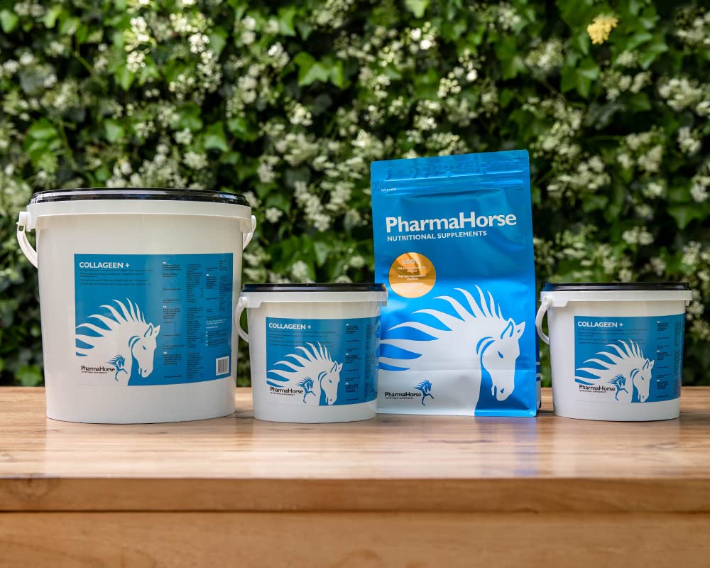 PharmaHorse Collagène+ | Souplesse des articulations Cheval | Collagène Cheval | sans Sucre ajouté | Sulfate de glucosamine 100% Pur | sans dopage | Dosage Puissant | 500 grammes