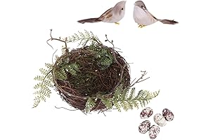 VALICLUD Artificial Bird Nest with Eggs