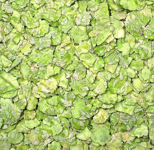 JR FARM Erbsenflocken 1 kg (Packung mit 2)