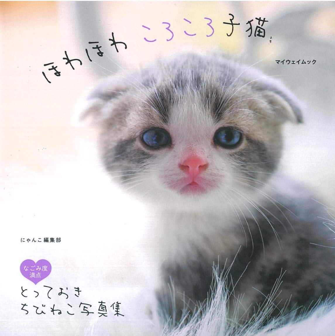ほわほわ ころころ子猫 (マイウェイムック) | にゃんこ編集部 |本