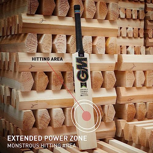 Image of GM Hypa Signature L.E. English Willow Cricket Bat for Mens, Size - Mens