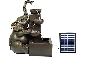 Ferrisland Solar Water Pump