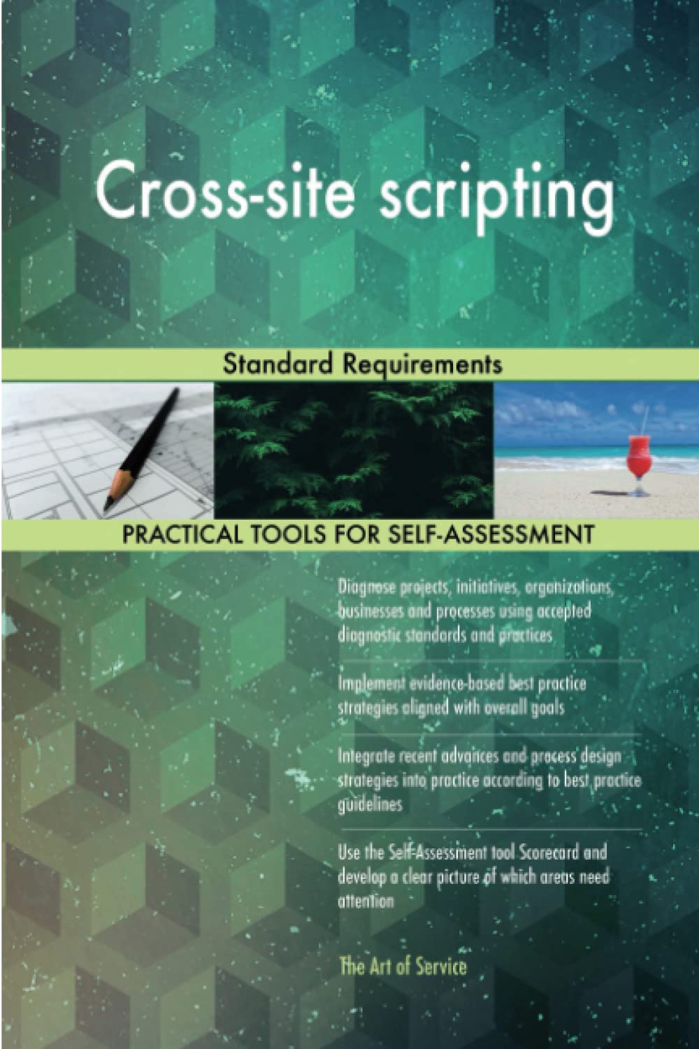 Cross-site scripting Standard Requirements